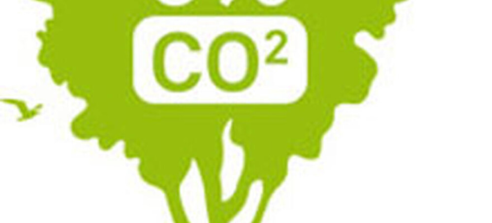 La neutralité carbone